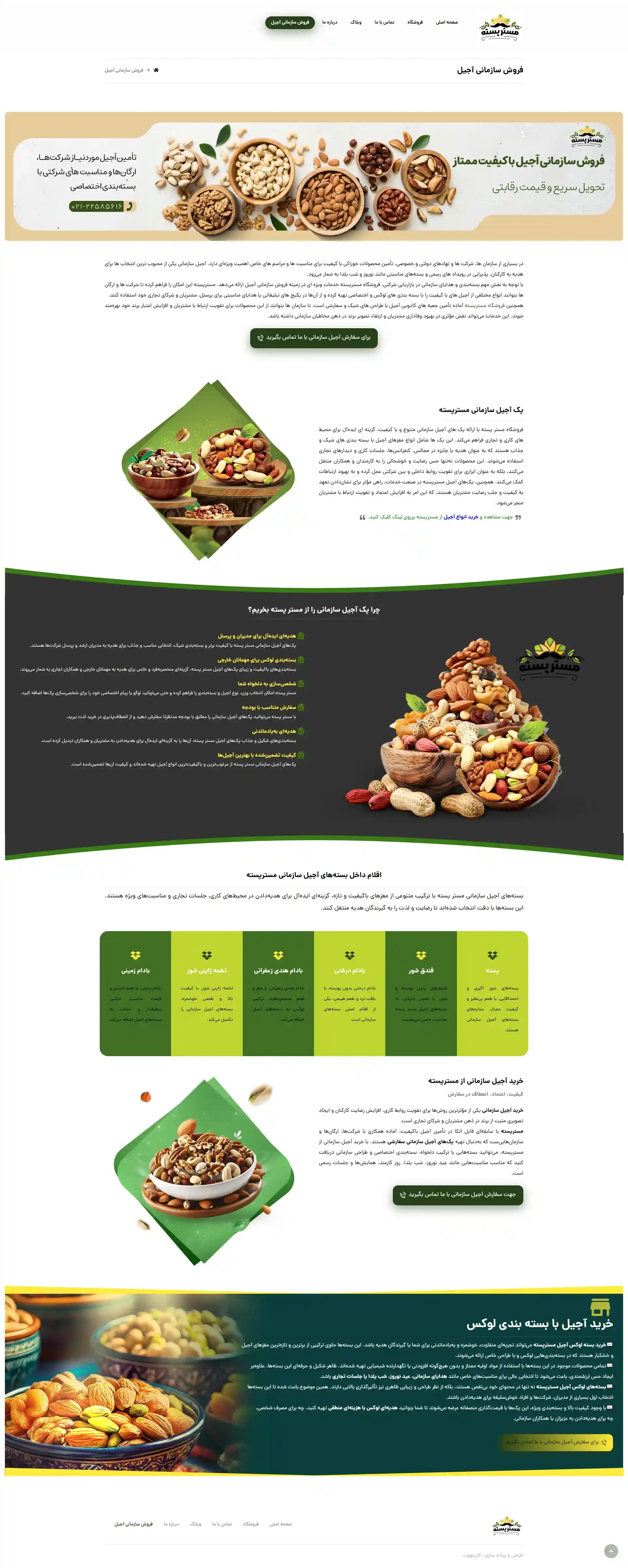 سایت فروشگاهی مسترپسته - تصویر 3